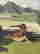 item-130531916=8
