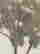 item-130531916=9