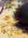 item-130531919=10