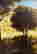 item-130531919=4