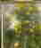 item-130531933=4