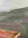 item-130531965=10