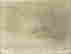 item-130531965=12