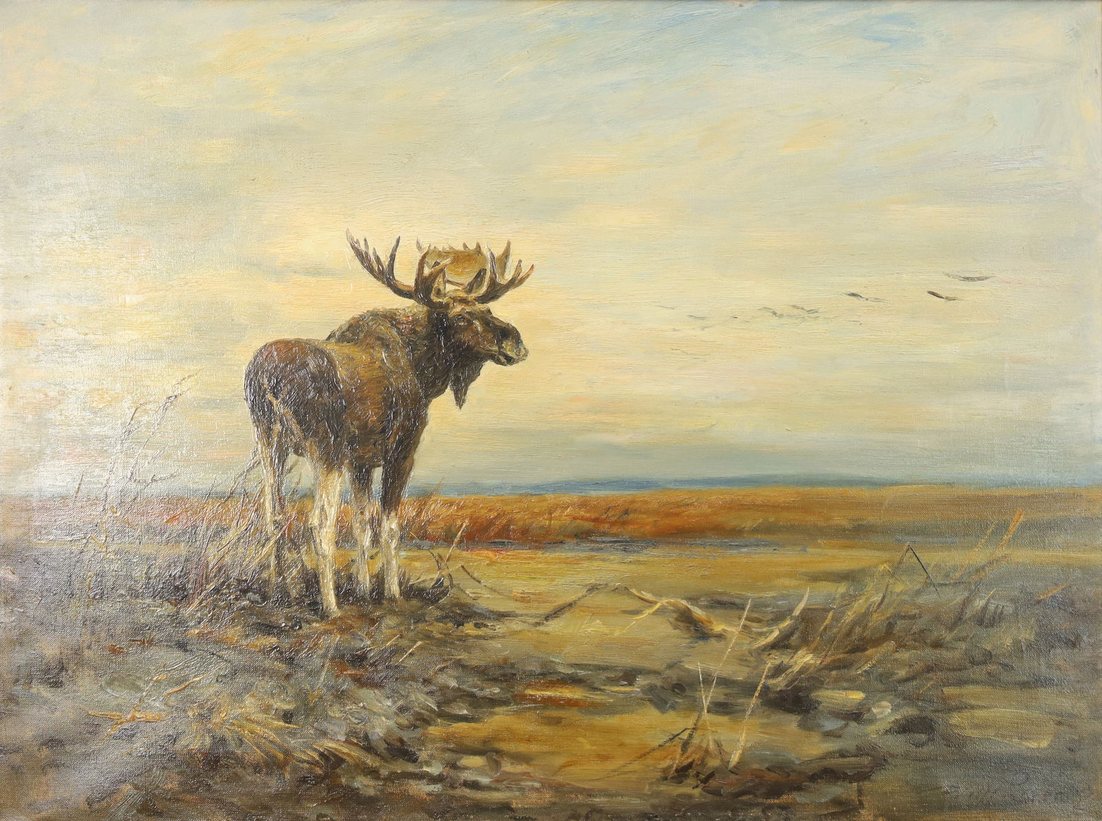 Willy LORENZ (1901 - 1981). Moose. (1 of 9)