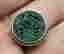 item-129938178=3