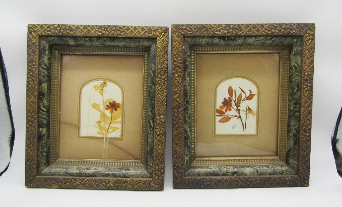 2 antique Wood and Gesso frames with dried flowers: pair of early 20th Century wood and gesso frames with dried flowers. picture size 10 x 8". overall frame size 12 x 14".