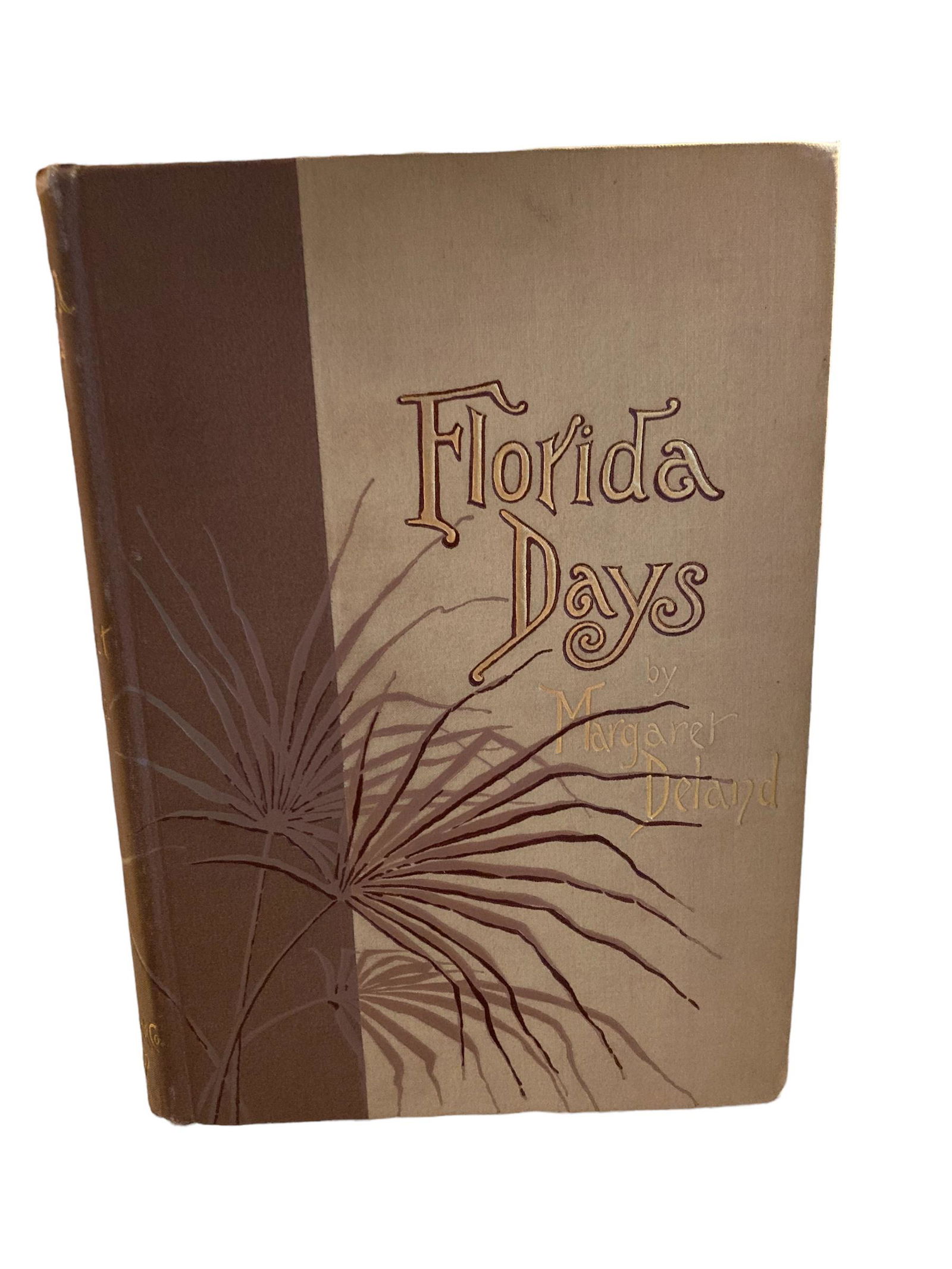 1889 Florida Days Margaret Deland First Edition (1 of 10)