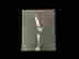 item-131610964=5