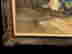 item-131695233=5