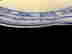 item-131761450=6