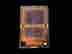 item-131761469=5