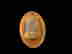 item-131761471=11