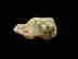 item-131831137=7
