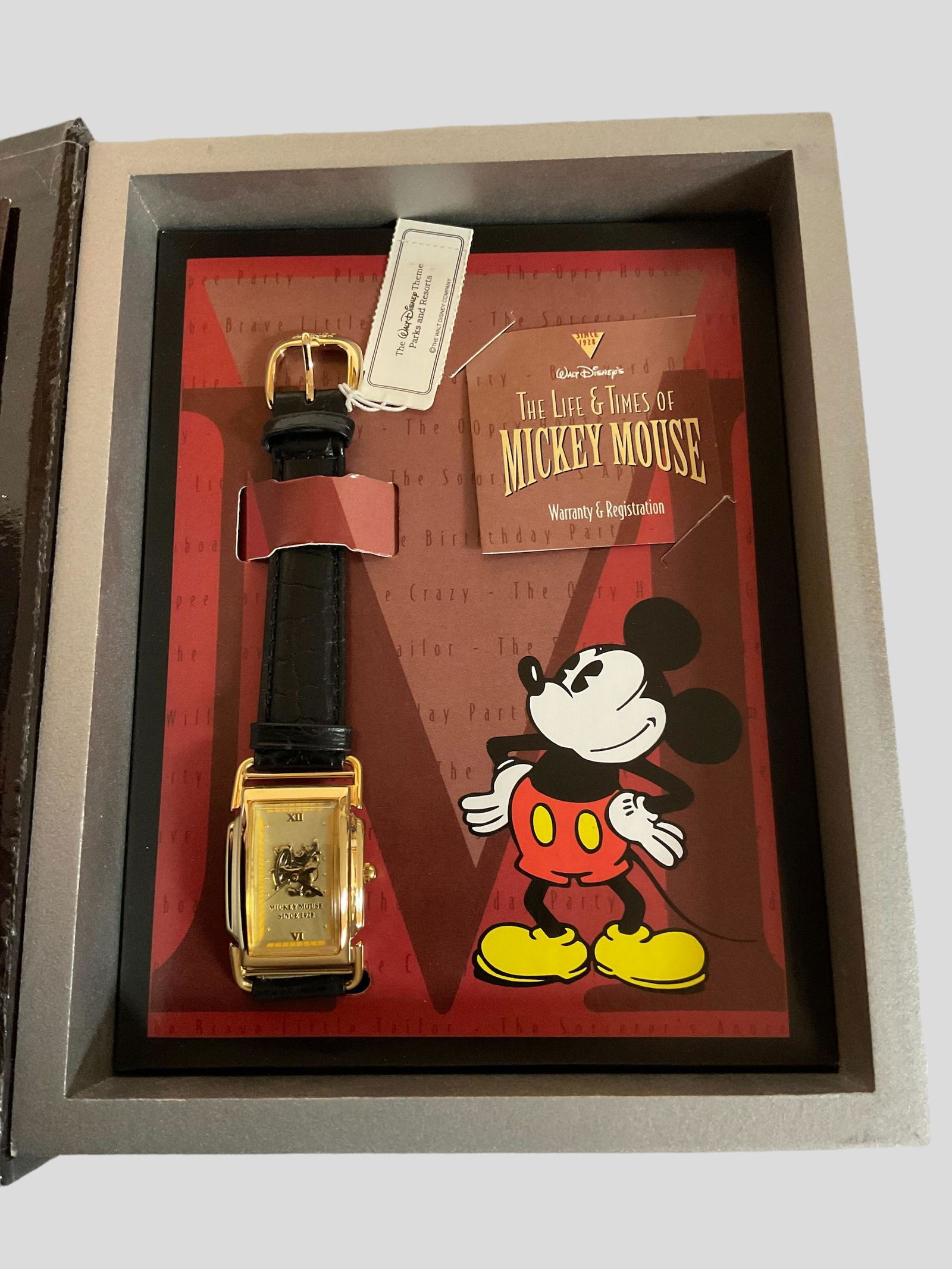 Disney The Life and Times of Mickey Mouse Watch Limited Edition (1 of 11)
