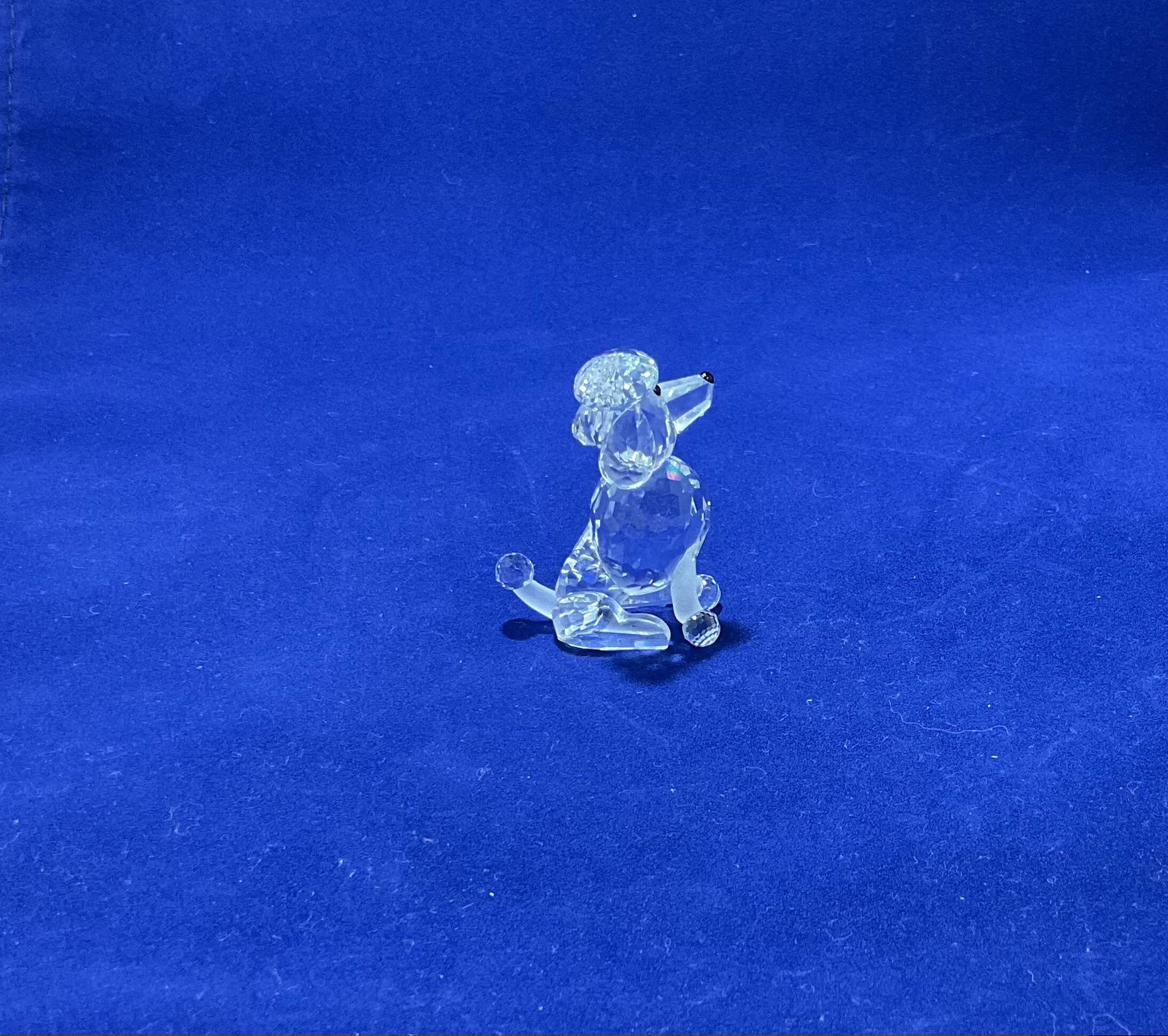 Swarovski Crystal Figurine Sitting Poodle Number 7619NR000005 (1 of 3)