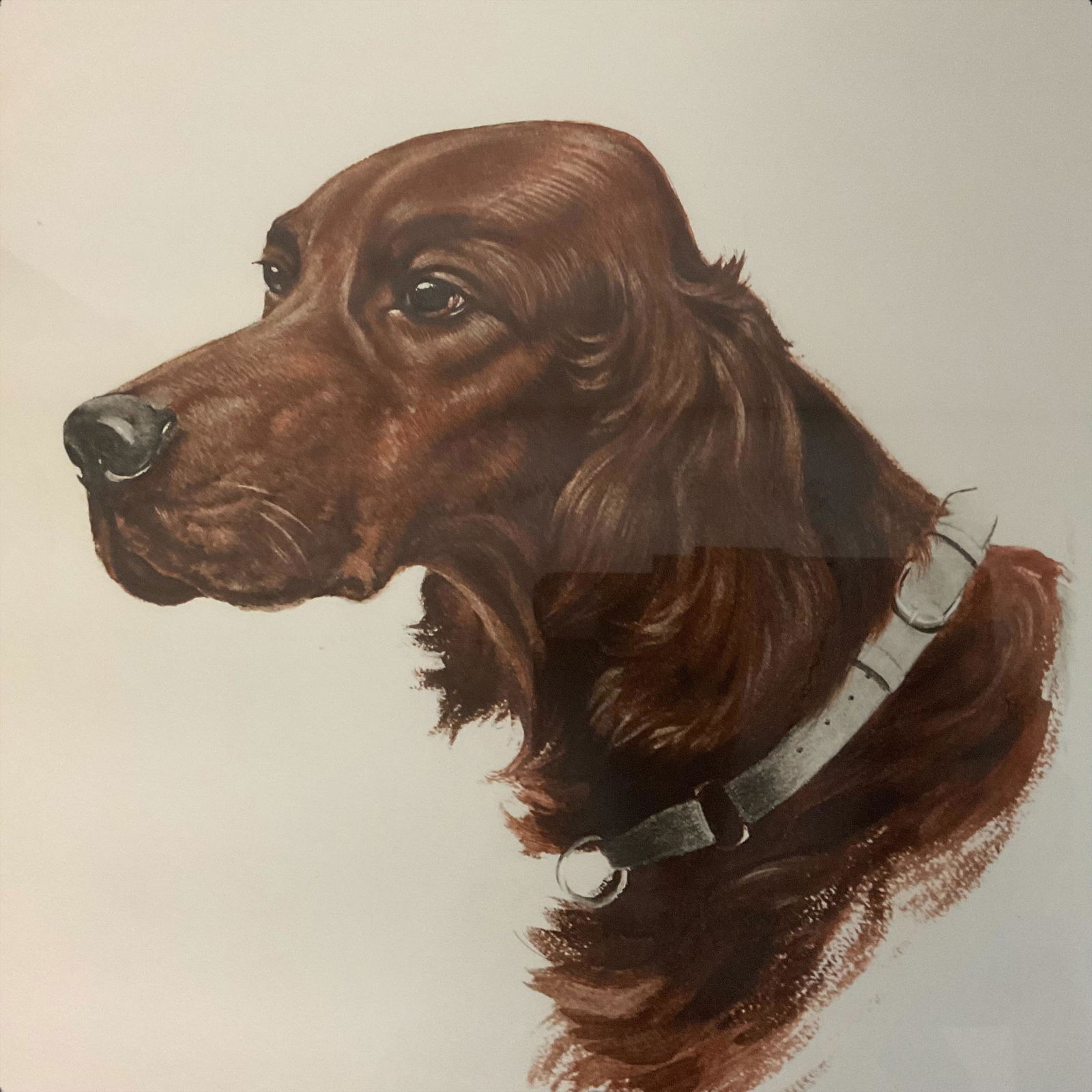 Jean Marie Rivet (French, b. 1910) "Setter Irlandais" Color Etching Signed (1 of 12)