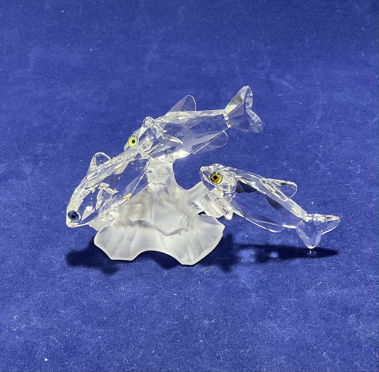 Swarovski Crystal Figurine Three South Sea Fish Number 7644NR057000 (1 of 4)