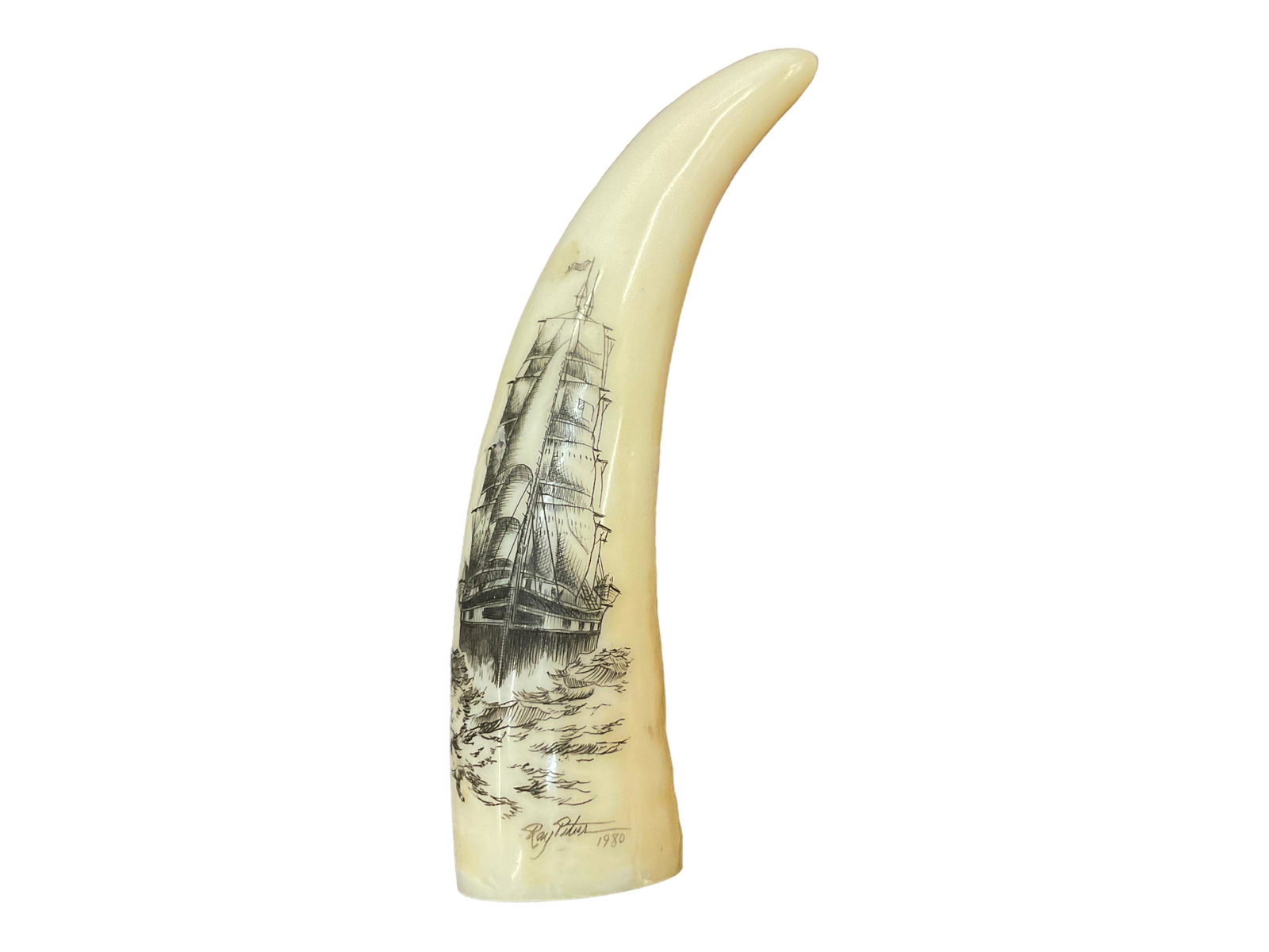 Nautical Scrimshaw Tooth Single Ship Signed Ray Peters: Nautical Schrimshaw Tooth, Single Ship, Signed Ray Peters, Measures: 3" L x 3/4" W, Condition: Very Good, See Photographs.