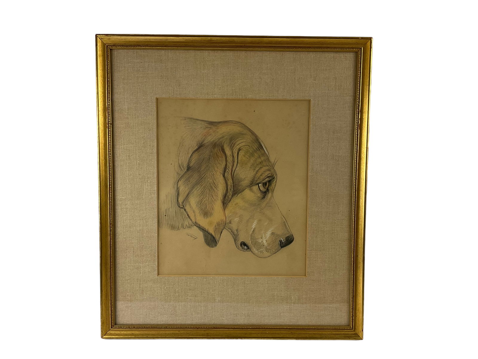 JW Parry Dog Portrait Pencil Drawing (1 of 9)