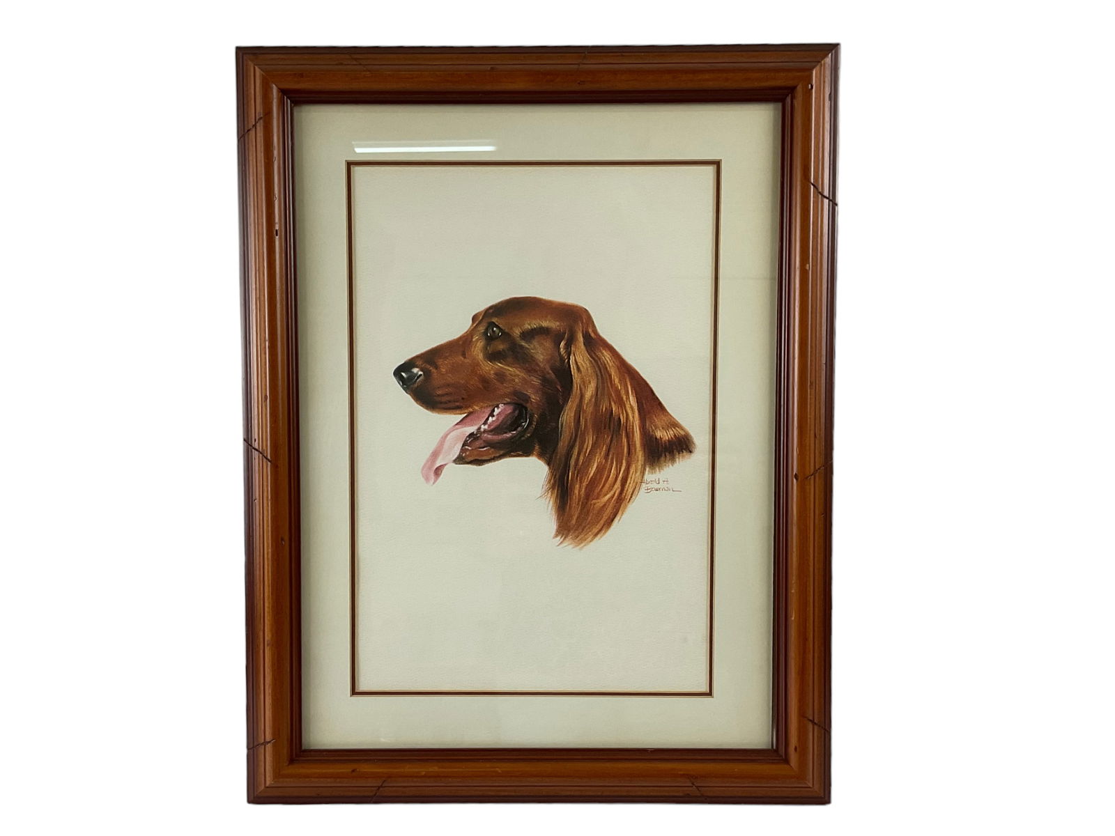 Harold A. Bowman Portrait of Irish Setter Signed (1 of 7)