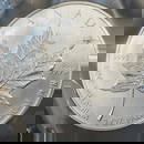 2005 Canada 50 Dollar Maple Leaf 1 oz .9995 Palladium Coin Sealed #4
