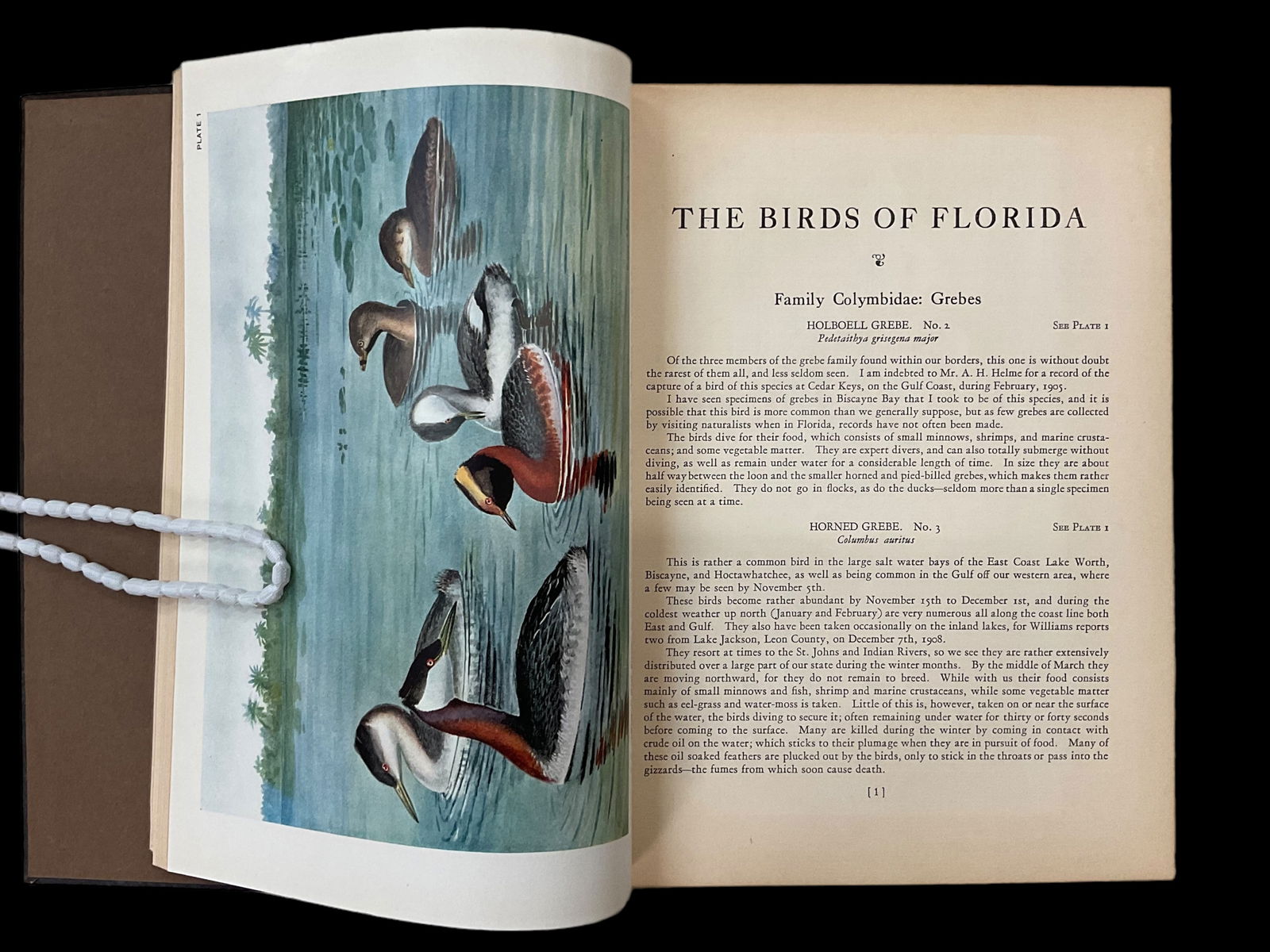 The Birds of Florida by Harold H. Bailey Limited Edition 1925 with 76 Color Plates and Map (1 of 17)