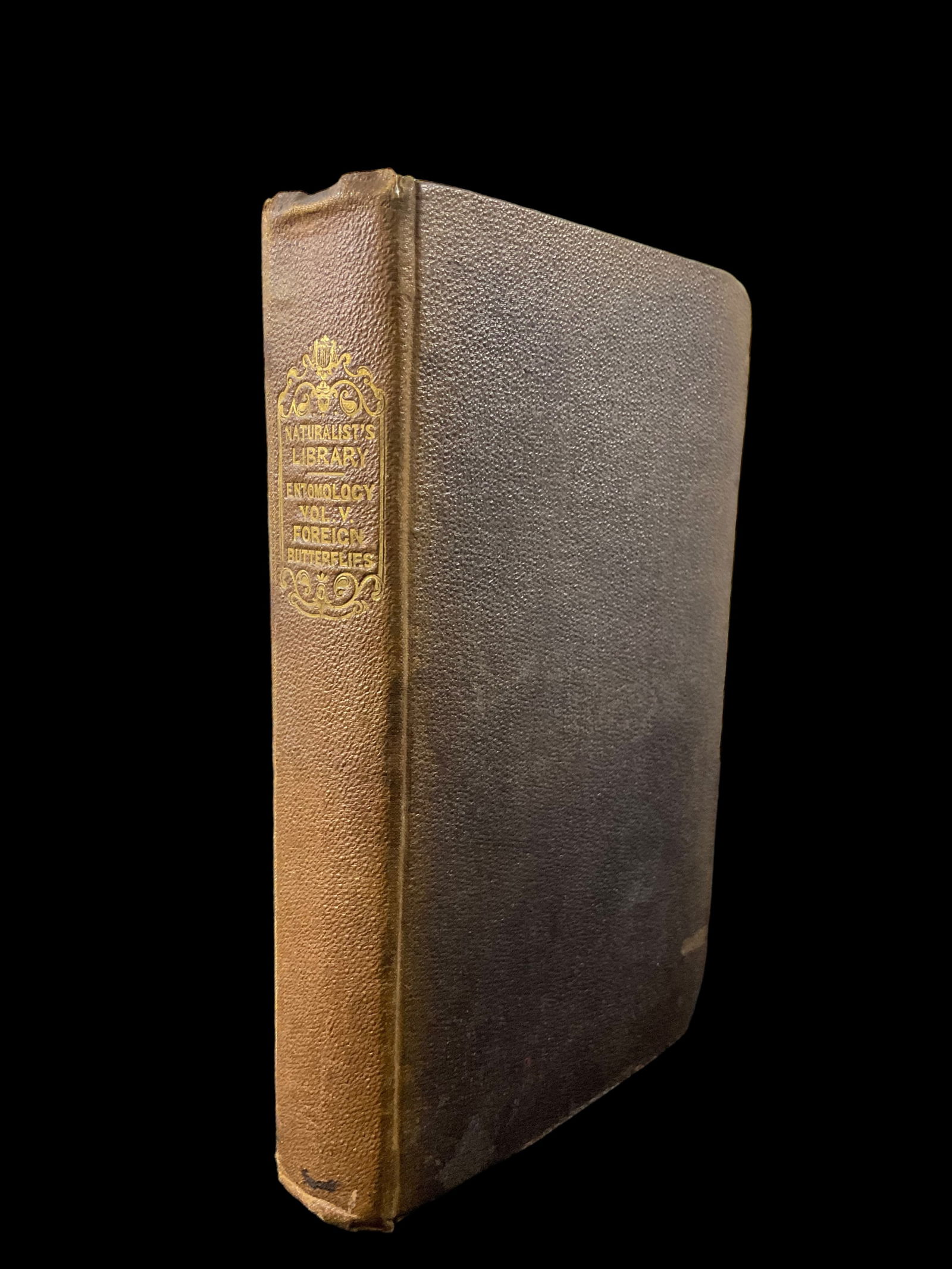 Natural History of Foreign Butterflies by James Duncan 1837 Illustrated Coloured Plates (1 of 14)