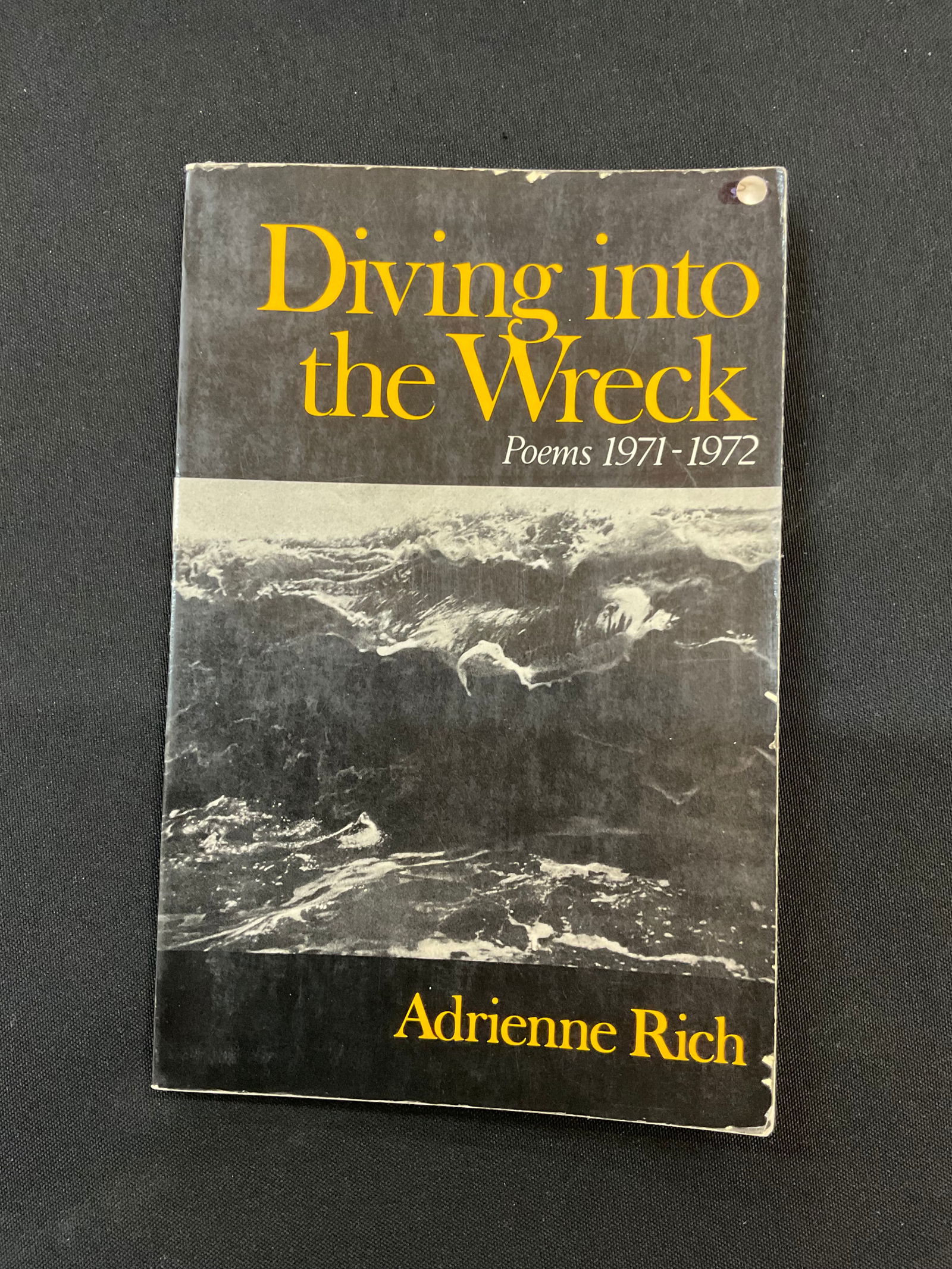 Diving Into The Wreck Poems 1971-1972 by Adrienne Rich 1st Edition 1973 (1 of 4)