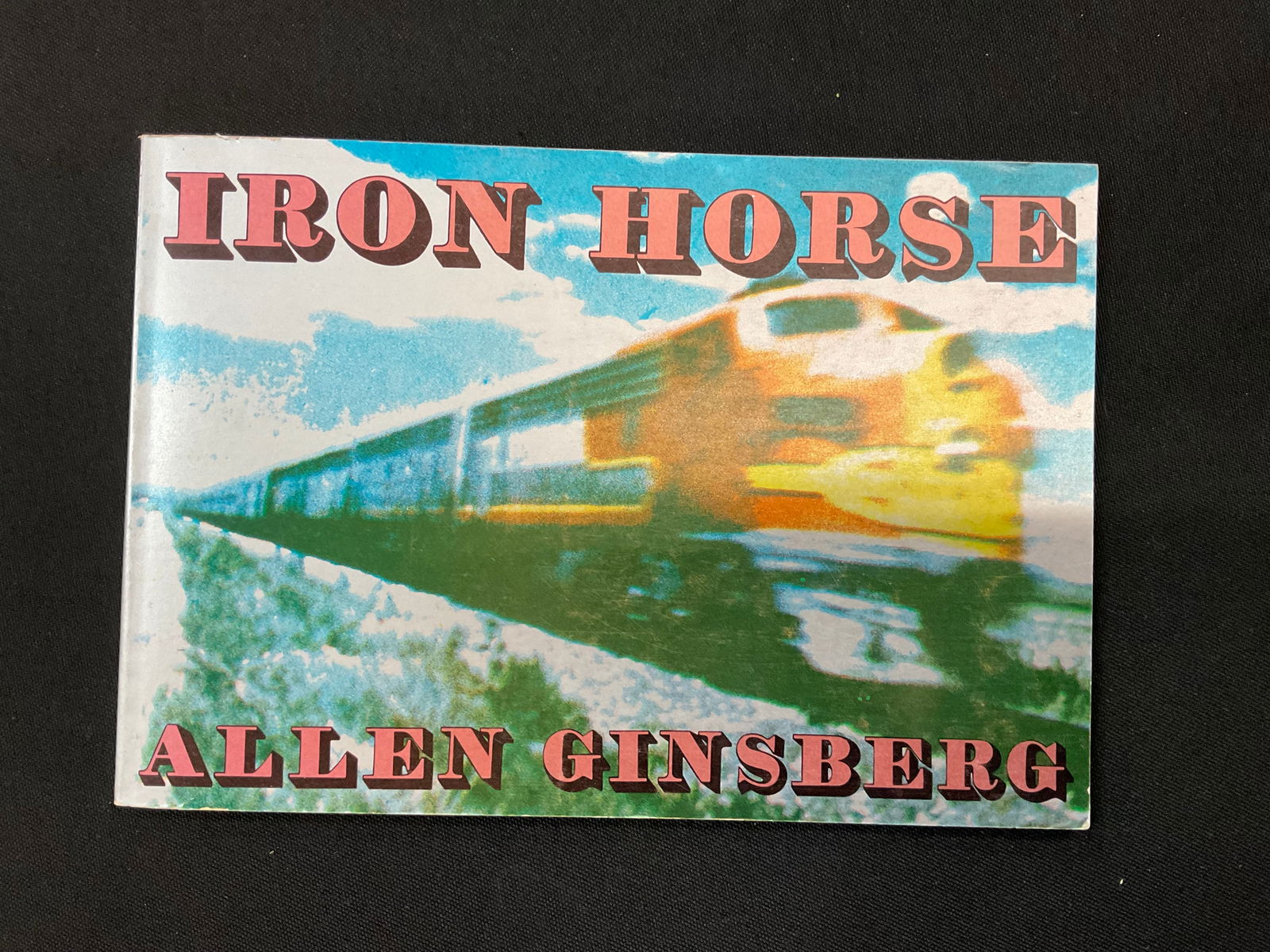Iron Horse by Allen Ginsberg Signed 1st City Lights Edition 1974 (1 of 8)