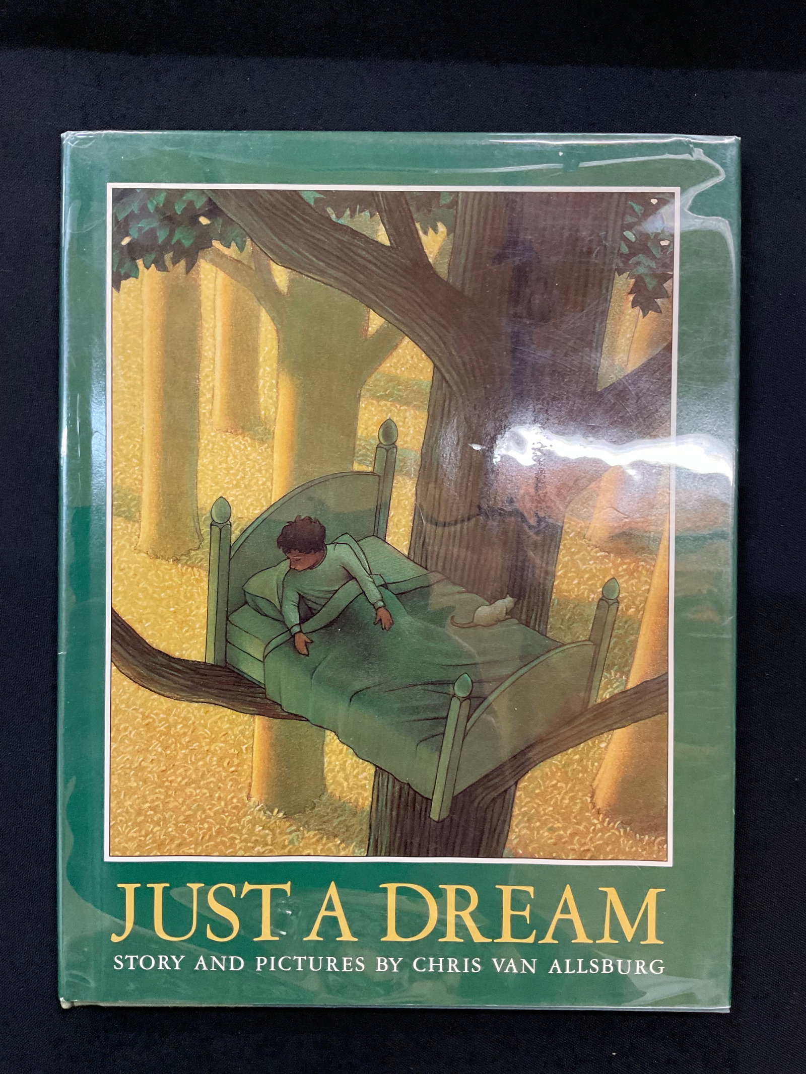 Just A Dream by Chris Van Allsburg 1st Edition 1990: Just A Dream by Chris Van Allsburg 1st Edition 1990 Houghton Mifflin Company, Illustrated by the Author, ISBN: 0395533082, Numbered Edition Dust Jacket and Mylar Cover Condition book bumped corners an