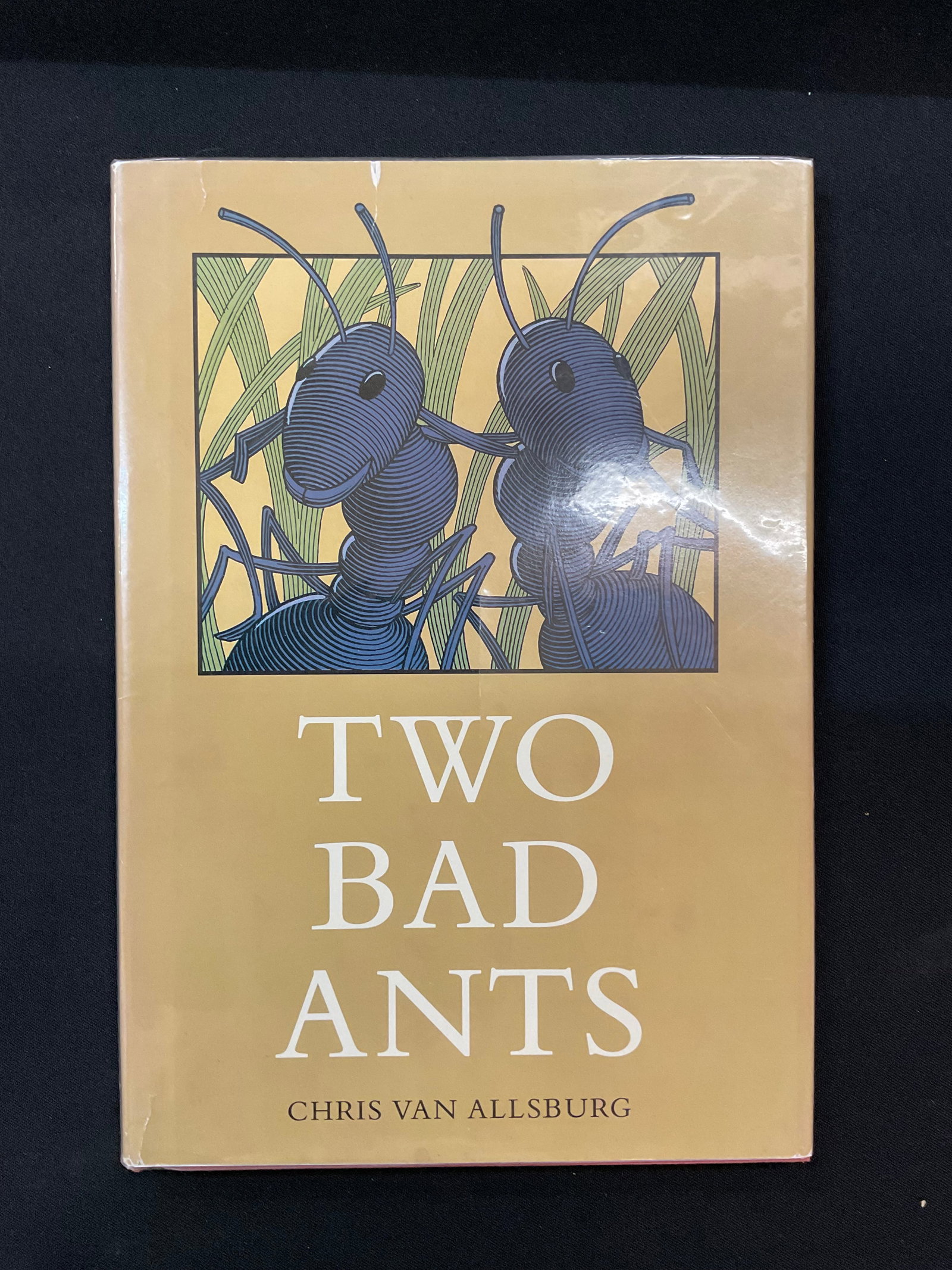 Two Bad Ants by Chris Van Allsburg 1st Edition 1988: Two Bad Ants by Chris Van Allsburg 1st Edition 1988 Houghton Mifflin Company, ISBN: 0395486688, Numbered Edition Dust Jacket and Mylar Cover Condition book bumped corners and edges, DJ small tears, te