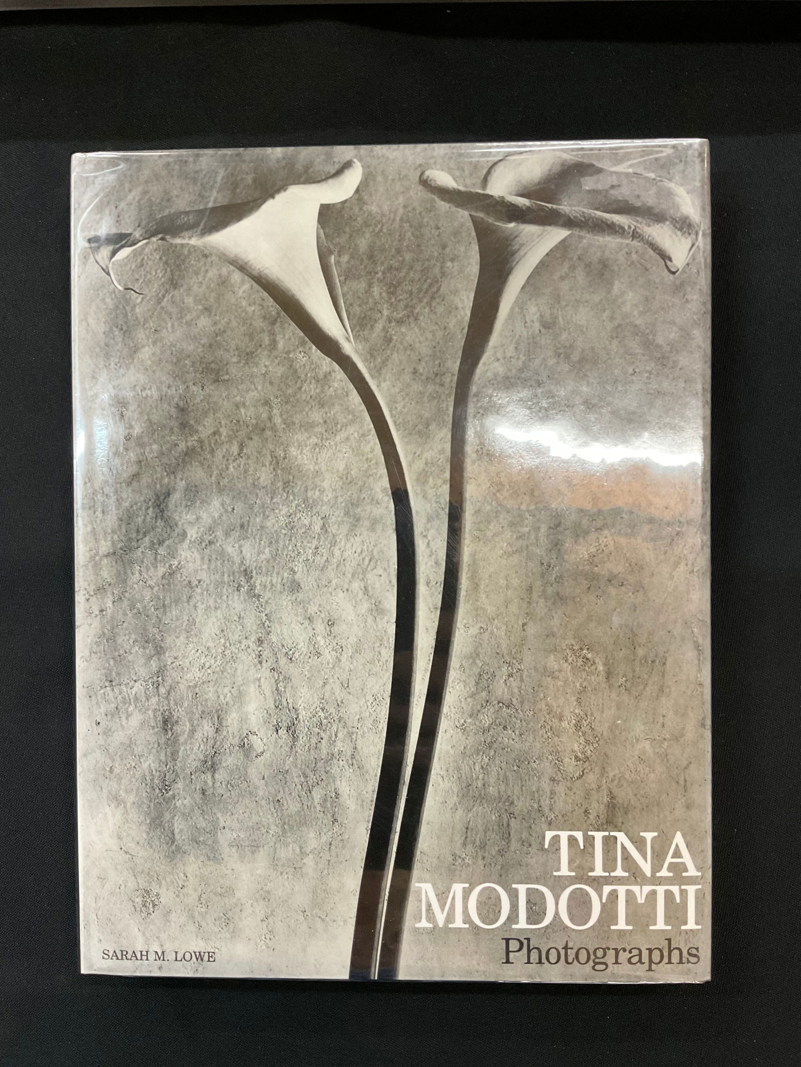 Tina Modotti Photographs by Sarah M. Lowe 1995 (1 of 7)