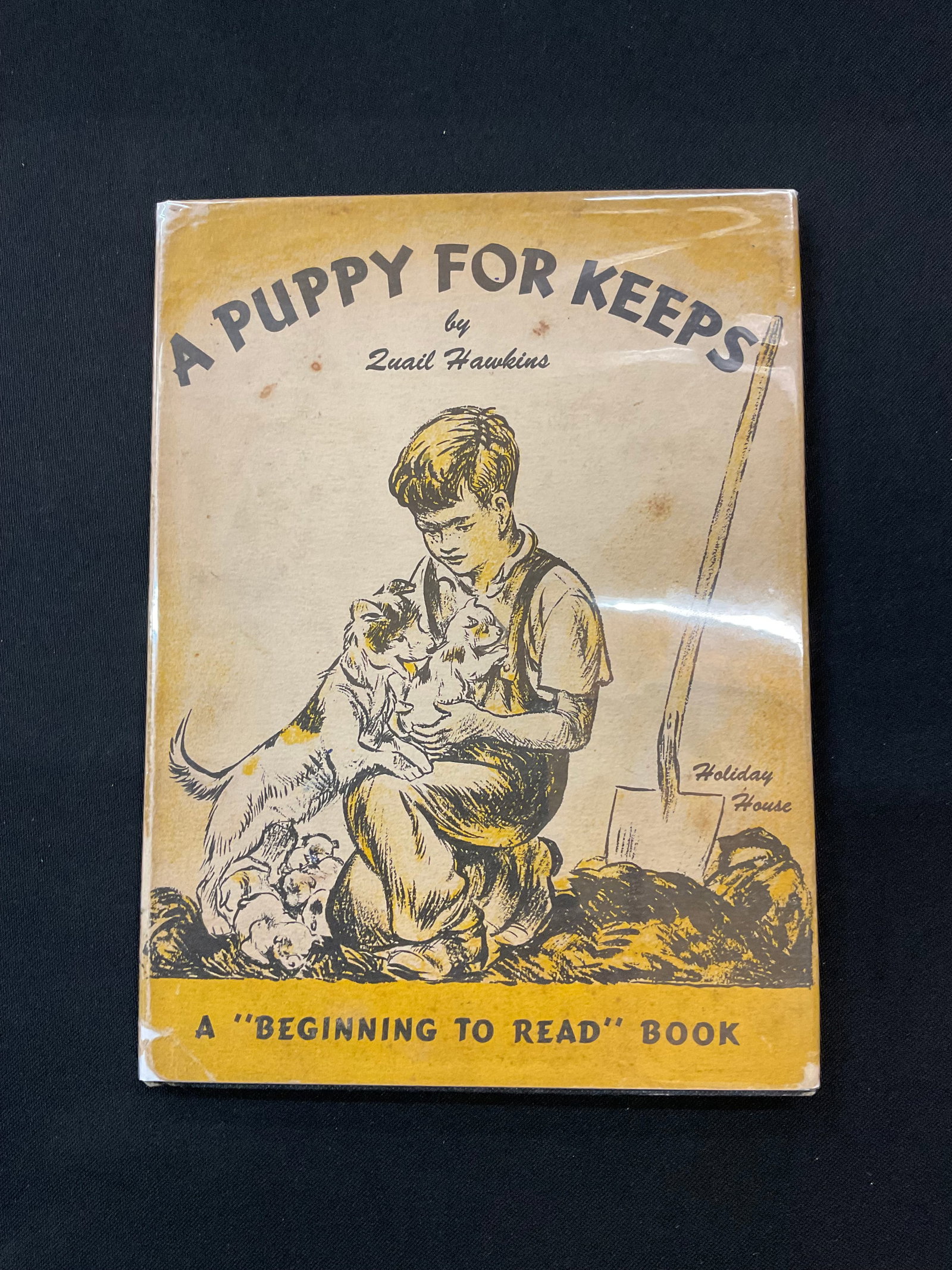 A Puppy for Keeps 1943 by Quail Hawkins: A Puppy for Keeps, Quail Hawkins, Illustrated by Kurt Wiese, Holiday House, New York, 1943, A "Beginning to Read" Book, Stamped Property of Louisville Public Schools, Condition good, dust ja