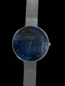 Skagen SKW2293 Denmark Silver Stainless Steel Watch
