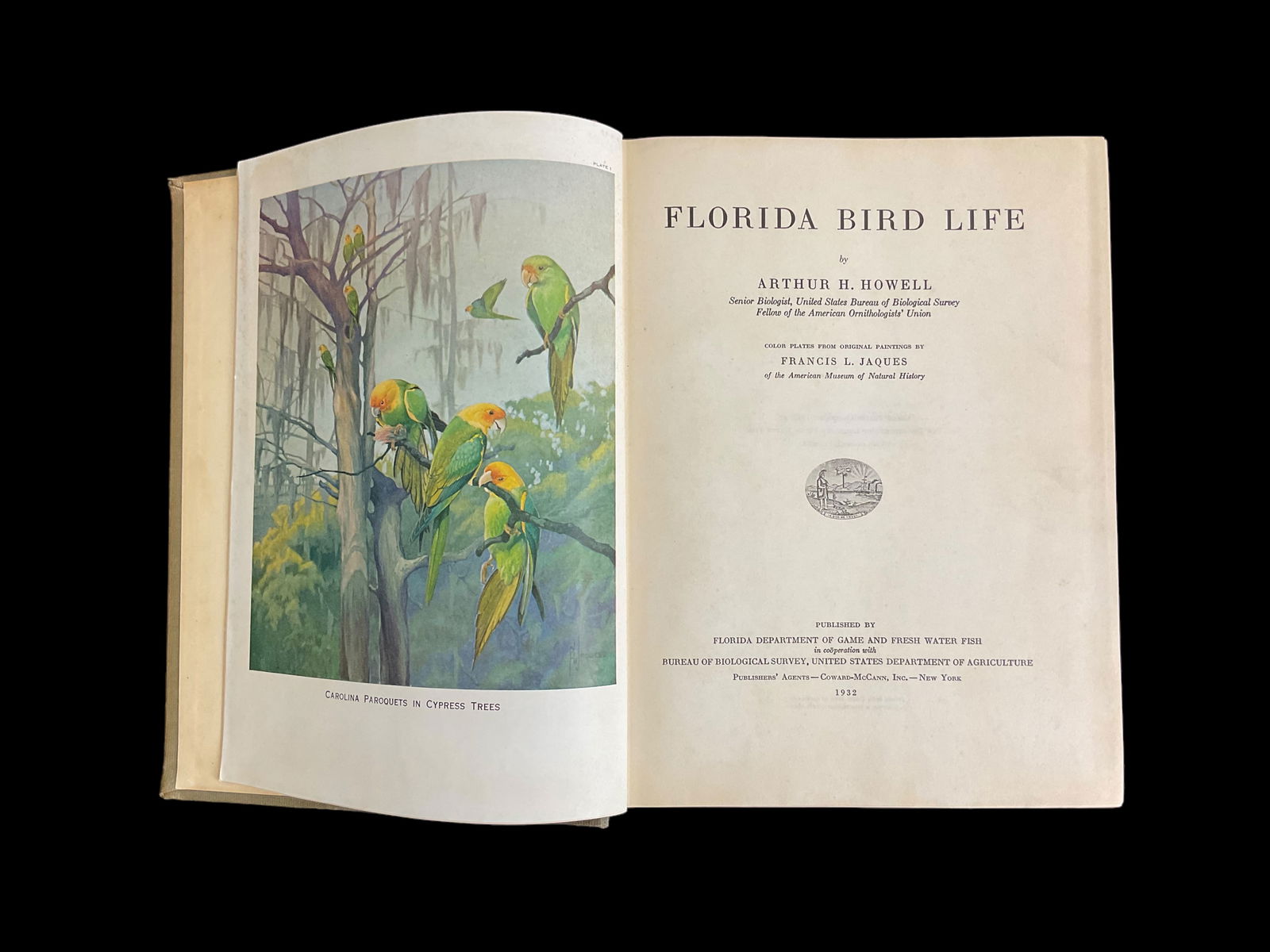 Florida Bird Life by Arthur H. Howell, 1932 (1 of 10)