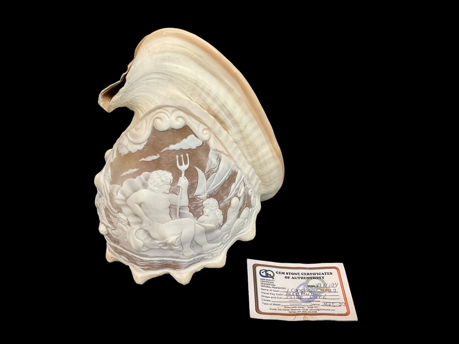 Nautical Cameo Concha Shell (1 of 11)