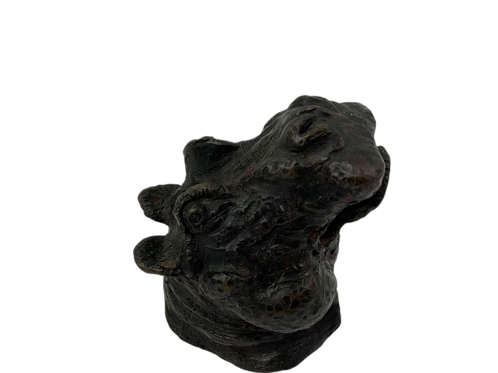 Small Bronze Hippopotamus Head, Signed (1 of 5)