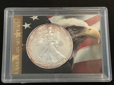 2009 American Silver Eagle 1 oz Fine Silver