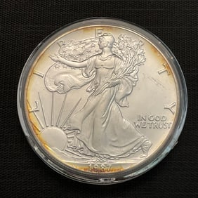 1987 American Silver Eagle .999 Fine Silver Dollar Coin