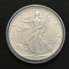 1993 American Silver Eagle .999 Fine Silver Dollar Coin