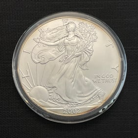 2002 American Silver Eagle .999 Fine Silver Dollar Coin