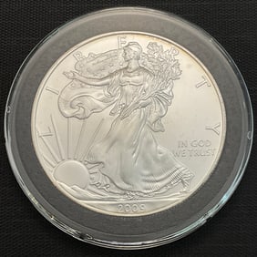 2009 American Silver Eagle .999 Fine Silver Dollar Coin