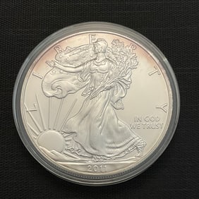 2011 American Silver Eagle .999 Fine Silver Dollar Coin