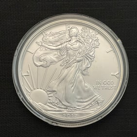 2017 American Silver Eagle .999 Fine Silver Dollar Coin