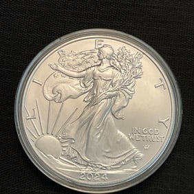 2024 American Silver Eagle 1 oz Fine Silver Eagle Carrying Oak Branch