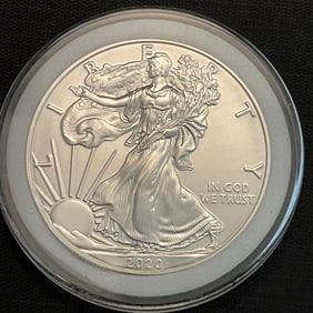 2020 American Silver Eagle 1 oz Fine Silver