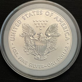 2020 American Silver Eagle 1 oz Fine Silver