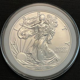 2020 American Silver Eagle 1 oz Fine Silver