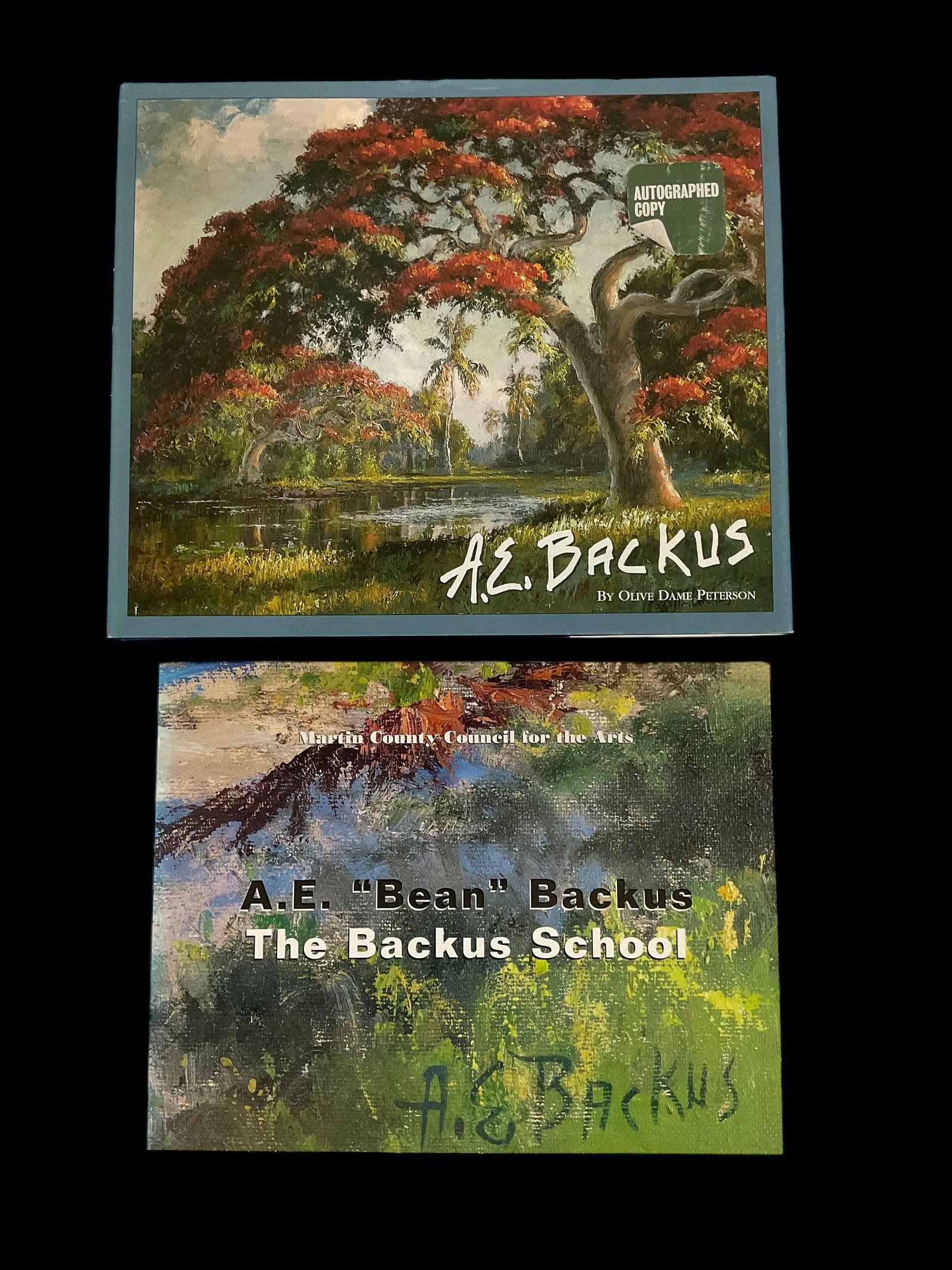 Set of 2 A. E. Backus Books (1 of 17)