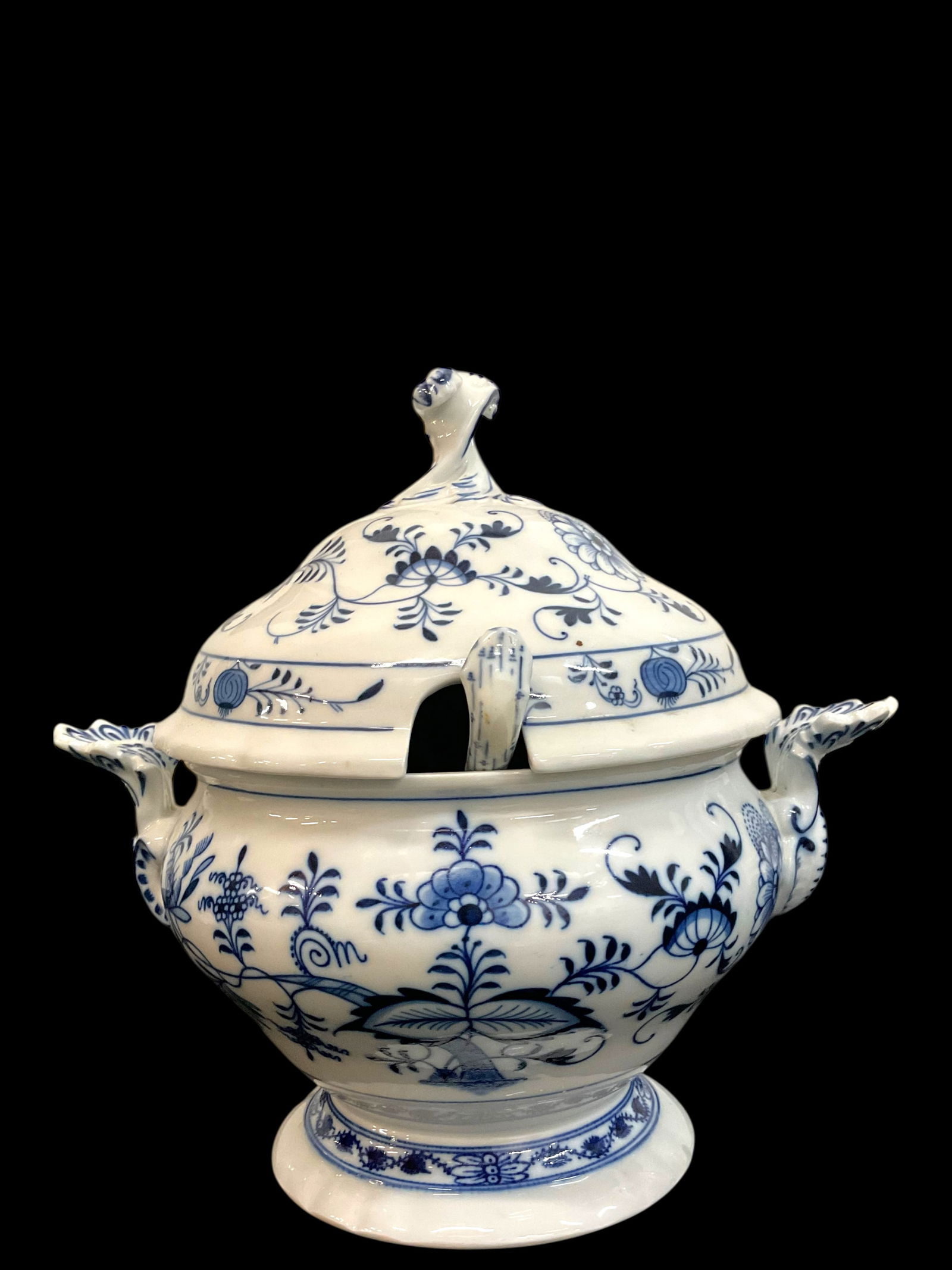 Antique German Meissen Blue Onion Porcelain Soup Tureen and Ladle (1 of 12)
